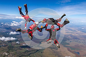 Skydiving photo. The concept of active recreation.