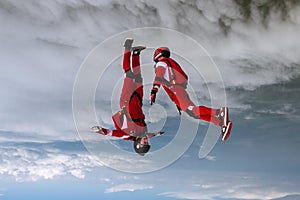 Skydiving photo. The concept of active recreation.