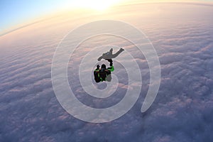 Skydiving. Sunset jump. Skydivers are above pink clouds.