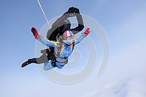 Skydiving. Tandem jump. Two skydivers are in the sky.