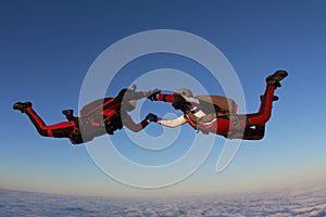 Skydiving. Two skydivers are flying in the sunset sky.