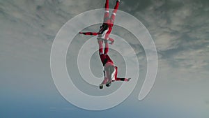 Skydiving video. The concept of active recreation.