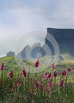 Skye mountains