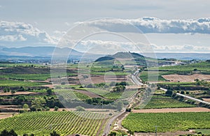 A skyine of vineyards in Rioja, SPain photo