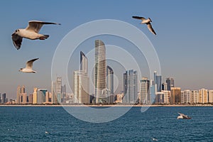 Skyline of Abu Dhabi with sea gulls, United Arab Emirat