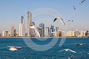 Skyline of Abu Dhabi with sea gulls, United Arab Emirat