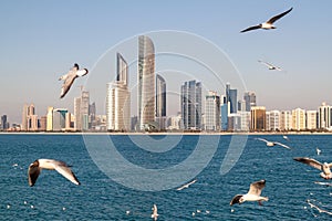 Skyline of Abu Dhabi with sea gulls, United Arab Emirat