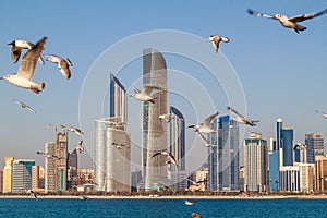 Skyline of Abu Dhabi with sea gulls, United Arab Emirat
