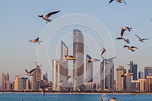 Skyline of Abu Dhabi with sea gulls, United Arab Emirat