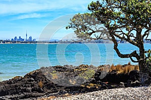 Skyline of Auckland, New Zealand, from Rangitoto Island