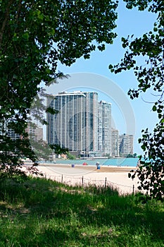 Skyline and Beach of Edgewater Chicago framed by Trees