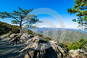 Skyline of The Blue Ridge Mountains in Virginia at Shenandoah Na