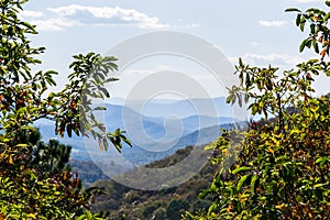 Skyline of The Blue Ridge Mountains in Virginia at Shenandoah Na