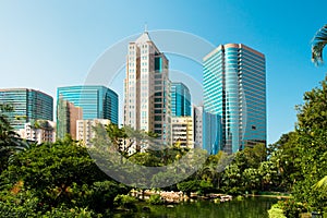 Skyline of buildings at tsim sha tsui and pond with flamingos at Kowloon Park, Hong Kong