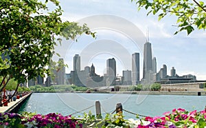 Skyline Cityscape Chicago Illinois USA