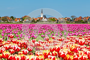 Skyline Den Hoorn Texel the Netherlands photo