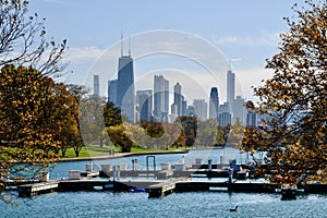 Skyline From  Diversey Harbor