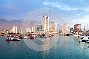 Skyline of downtown and marina of Iquique from the port