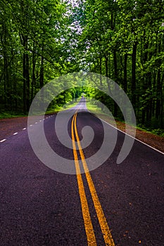 Skyline Drive in a heavily shaded forest area of Shenandoah National Park