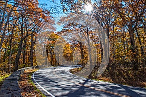 Skyline Drive , Shenandoah National Park photo