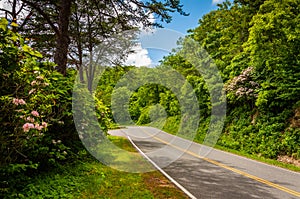 Skyline Drive, in Shenandoah National Park, Virginia.