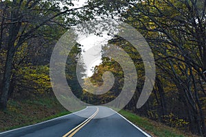 Skyline Drive, a Winding Country Road Traveling Through Beautiful Fall Foliage