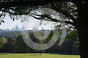 Skyline of Frankfurt at main behind rural scene photo