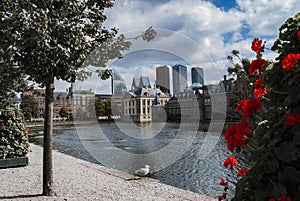 Skyline the Hague with Binnenhof palace