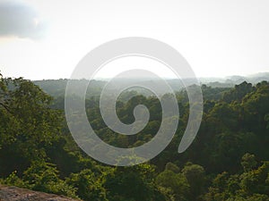 Skyline and high angle view of Jungle in Himachal Pradesh, India.