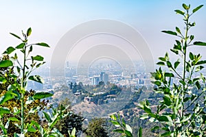 Skyline landscape in Los Angeles city, California