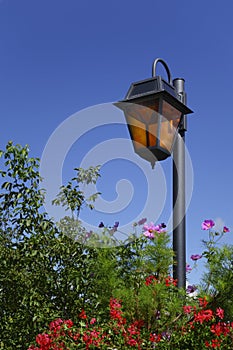 Skyline lantern in a garden.