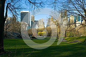 Skyline of Midtown Manhattan from Central Park in New York City