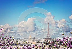 Skyline of Paris with eiffel tower