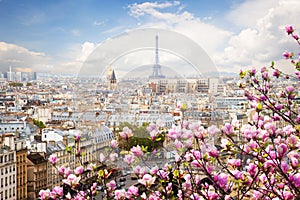 Skyline of Paris with eiffel tower