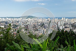 The skyline of Santos with trees in the foreground