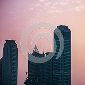 Skyline, skyscrapers in Dubai. Many tall buildings at sunset, silhouettes of skyscrapers