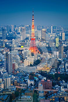 Skyline of Tokyo Cityscape with Tokyo Tower at Night, Japan