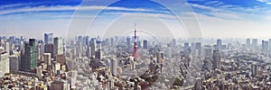 Skyline of Tokyo, Japan with the Tokyo Tower, from above