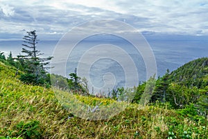 Skyline trail, in Cape Breton Highlands National Park