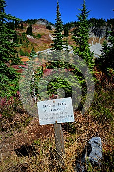 Skyline trail in fall, Mt. Rainier National Park