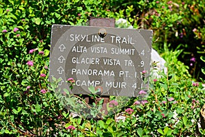 Skyline Trail sign at Mount Rainier National Park with destinations and distance photo