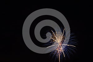 Skyrockets exploding in the night sky on the Fourth of July.