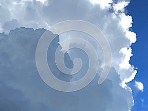 Skyscape. Cumulus clouds in close-up