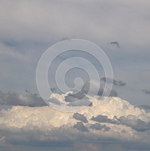 Skyscape. Cumulus clouds in close-up