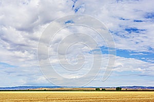 Skyscape in western Colorado with Cumulus Clouds in a Bleu Sky