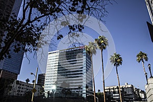 Skyscraper Apartment and Office Building Play