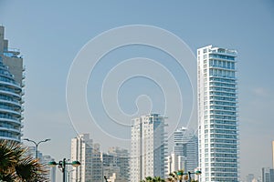 Skyscraper and Cityscape. Highway skyline and city buildings