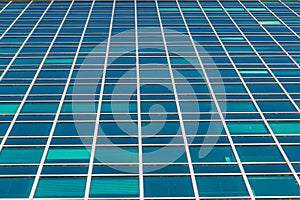 Skyscraper glass windows