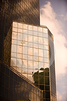 Skyscraper reflecting in the sunlight