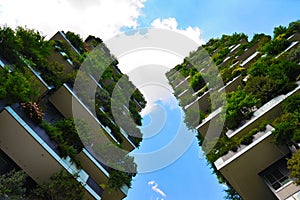 Skyscraper vertical forest in Milan